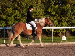 IMG_7613_web